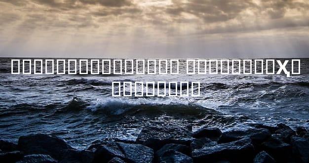 �������ɿ������� ��������Ҳ���Լ�����